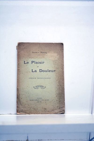 Le plaisir et la douleur. Théorie physiologique.