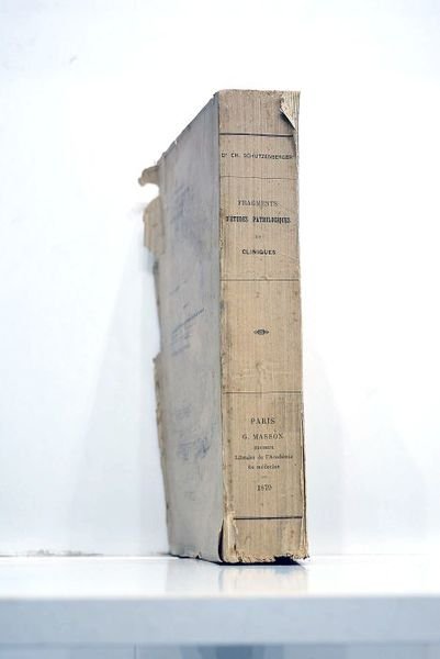 Fragments d'études pathologiques et cliniques.