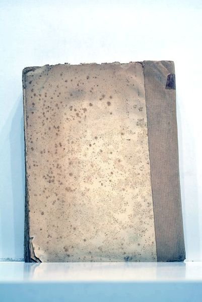 Le plus beau royaume sous le ciel. Troisième édition.