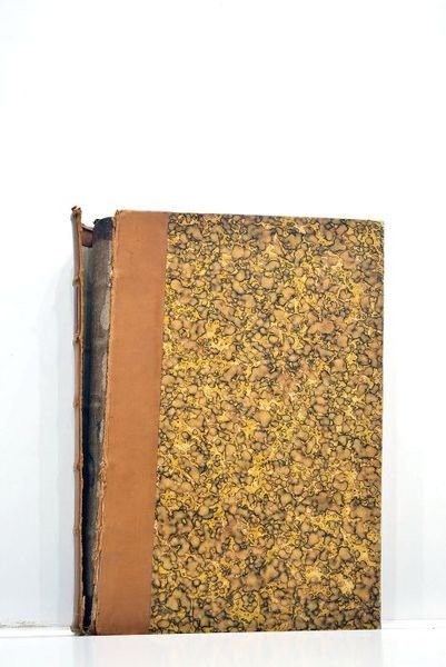 Bibliographie des sciences médicales. Bibliographie - Boigraphie - Histoire - …