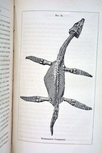 Géologie et révélation ou histoire ancienne de la terre considérée …