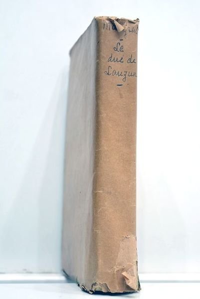 Le Duc de Lauzun et la cour de Marie-Antoinette.