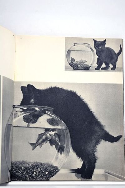 85 chats. Préface de Dominique Aury.