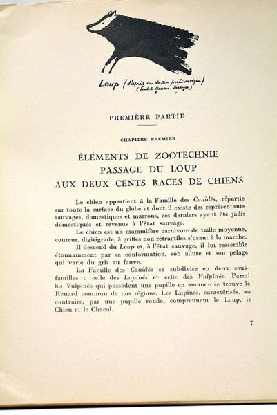 Le chien et sa médecine. Illustrations de l'auteur.