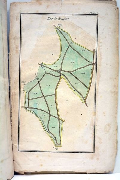 Historique de la création d'une richesse millionnaire par la culture …