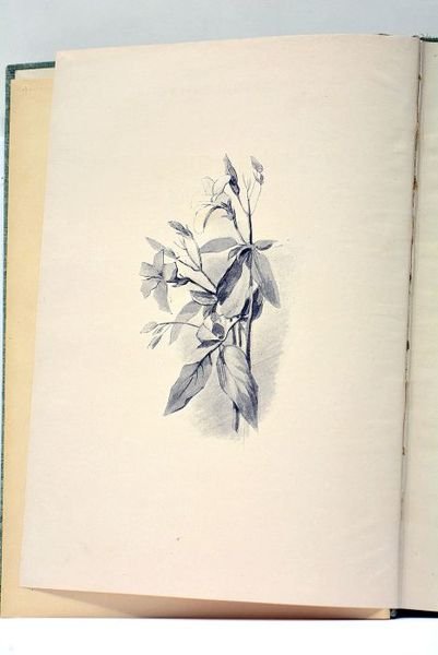 L'Avril. La confession posthume. Illustrations d'après les aquarelles de Laurent-Desrousseaux.