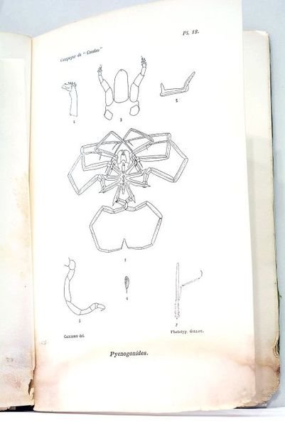 Annales de l'Université de Lyon. Résultats scientifiques de la campagne …