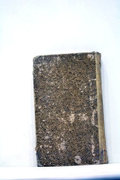 Conciones et orationes poeticae ou Discours et harangues choisies, tirées …