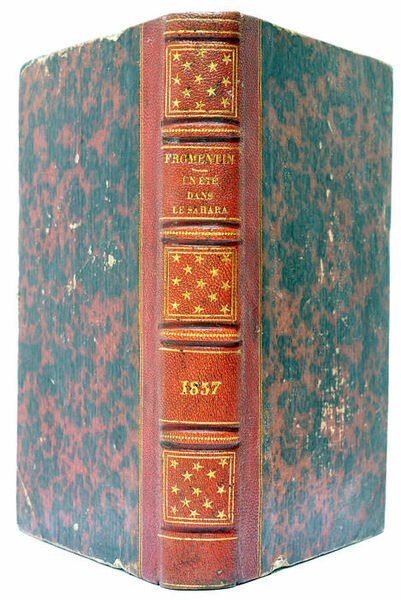 Un Eté dans le Sahara.