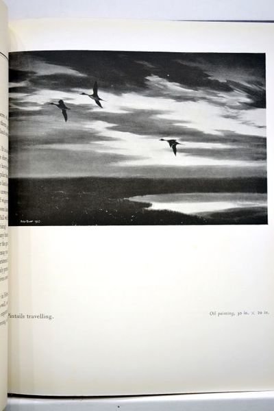 Morning flight. A book of wildfowl. Written and illustrated by …