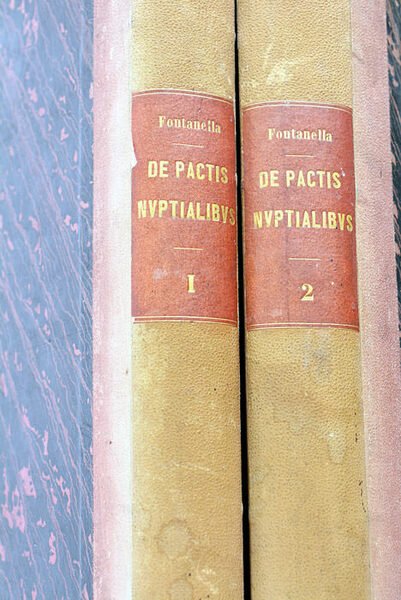 De Pactis Nuptialibus, sive capitulis matromonialibus tractatus.