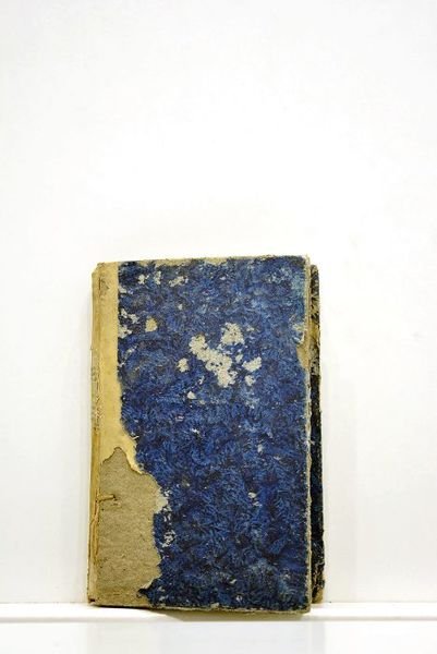 Fabularum. Libri quinque. Fables. Nouvelle édition. Avec des notes, un …