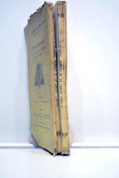 Manuel de la langue danoise (dano-norvégienne) à l'usage des étrangers.