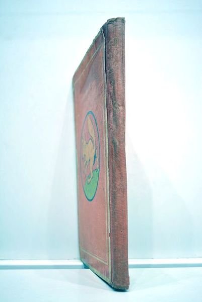 Les contes du renard blanc.