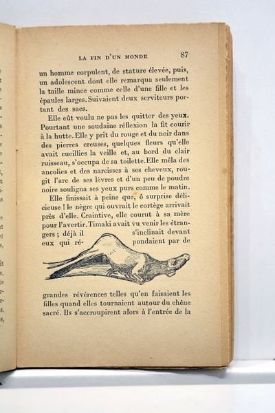 La fin d'un monde. Roman.