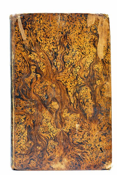 Lo Gayté del Llobregat. Poesias. Barcelona, en la Estampa de …