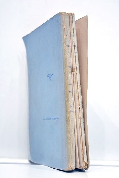 Deux mariages. Un grand mariage, un mariage d'amour.