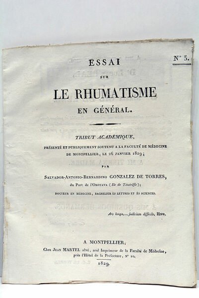 Essai sur le Rhumatisme en général.