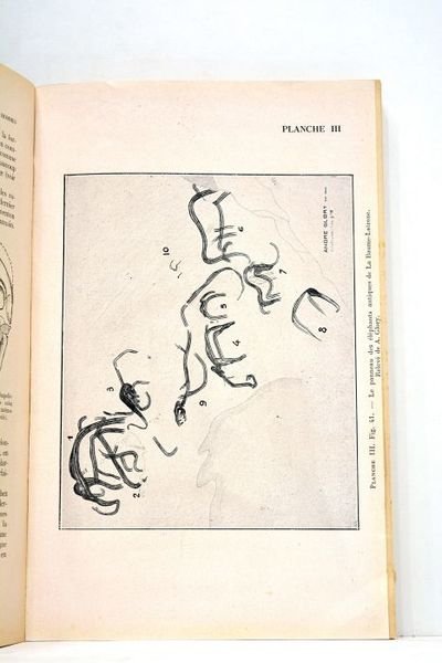 Les Premiers Hommes. Précis d'Anthropologie Préhistorique. Deuxième édition.