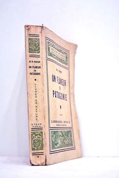 Un flaneur en Patagonie. Traduit de l'anglais par Victor Llona.