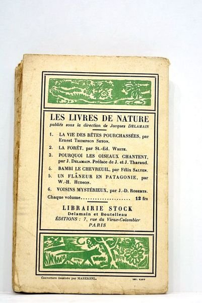 Un flaneur en Patagonie. Traduit de l'anglais par Victor Llona.