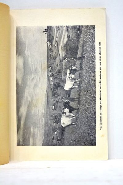 La Bigorre dans l'Histoire. Le château fort de Mauvezin.