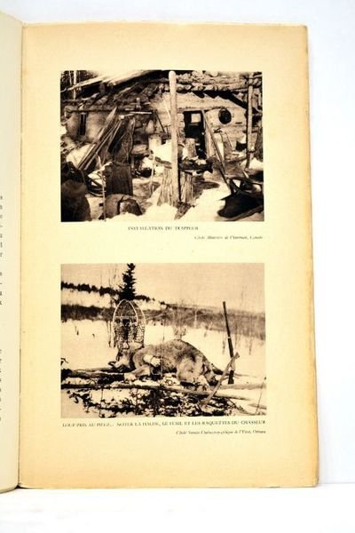 La chasse des animaux à fourrure au Canada.