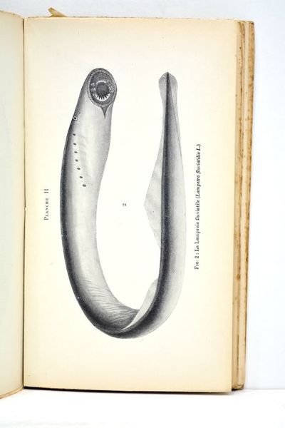 Les poissons des eaux douces de la France. Manuel descriptif …