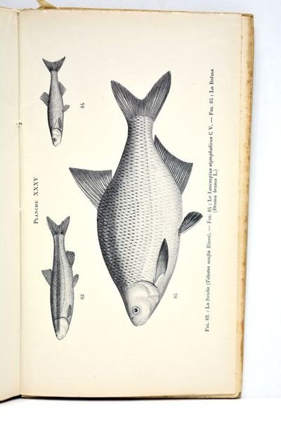 Les poissons des eaux douces de la France. Manuel descriptif …