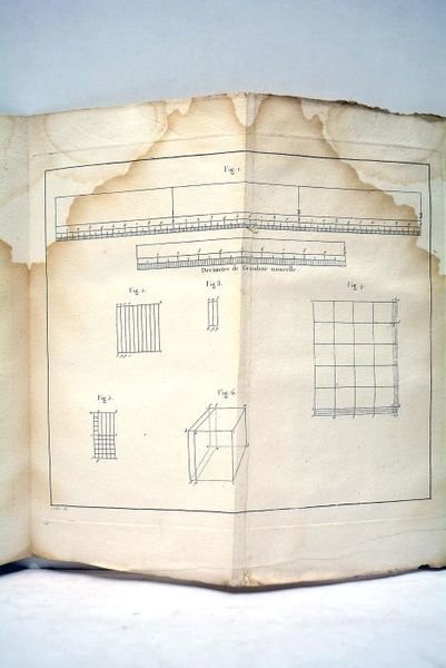 Considérations sur la rage. Tribut académique présenté et publiquement soutenu …