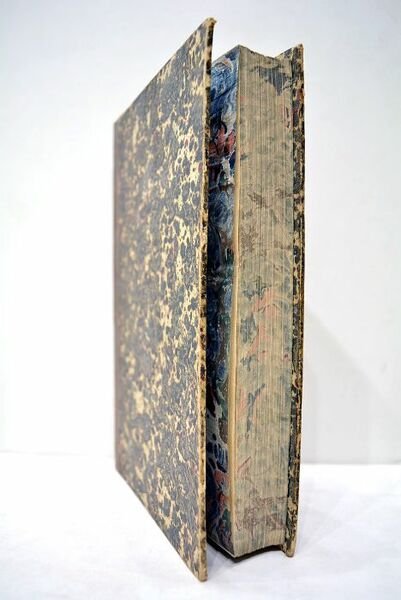 Histoire de la vie et des ouvrages de Raphaël, ornée …