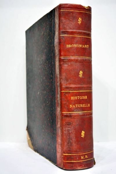 Histoire naturelle populaire. L'homme et les animaux. Ouvrage illustré de …