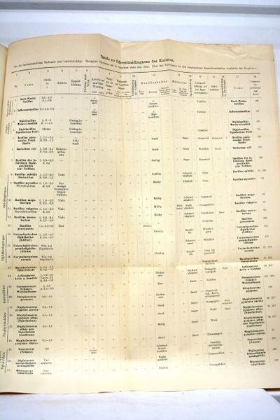 Die bakteriologie in der augenheilkunde. Mit 87 zum teil farbigen …