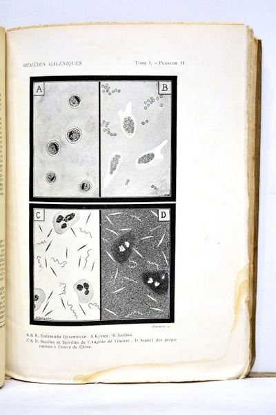 Les remèdes galéniques. Deuxième fascicule. Août 1921.