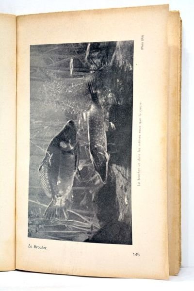 Le Brochet. Sa vie, sa peche. Préface de Acrien de …
