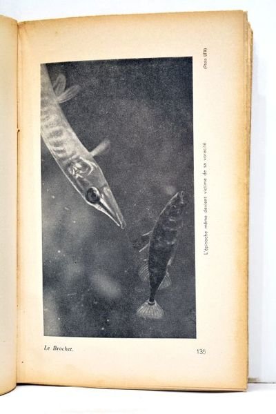 Le Brochet. Sa vie, sa peche. Préface de Acrien de …