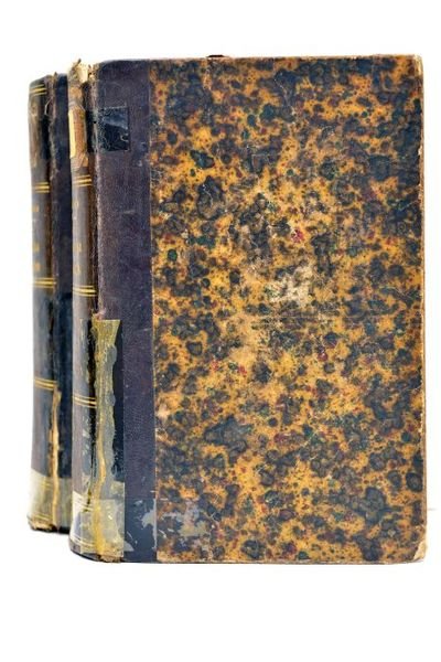 Etudes sur l'art de conduire les troupes. Traduit de l'allemand …