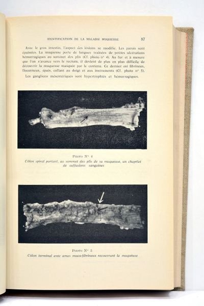 REVUE de médecine vétérinaire. Janvier 1961.