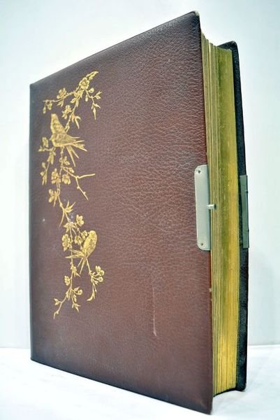 ALBUM DE PHOTOGRAPHIES.