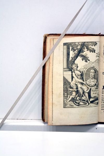 Jérusalem délivreée. Poème. Nouvelle édition, revue et corrigée. Tome premier.