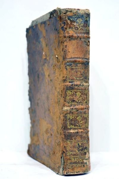 Plan de l'Organisation sociale, divisée dans ses trois parties essentielles: …