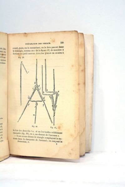 Manuels-Roret. Nouveau manuel complet du Naturaliste préparateur. Deuxième partie. Taxidermie, …