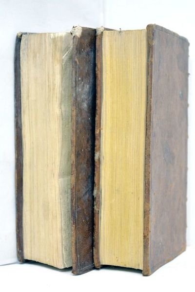 Histoire de France, depuis l'établissement de la Monarchie jusqu'au Règne …