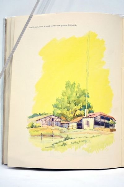 ARMAGNAC. Terre gasconne. Illustrations de R. Maurel.