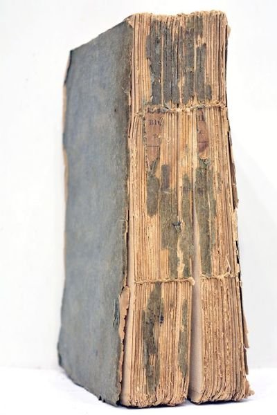 BIOGRAPHIE toulousaine, ou Dictionnaire historique des personnages qui par des …