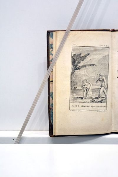 Paolo e Virginia. Tomo primo.