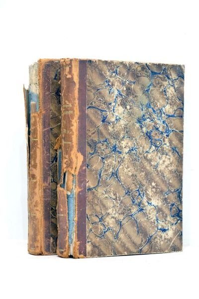 Les jeunes voyageurs en France, ou Lettres sur les départements; …