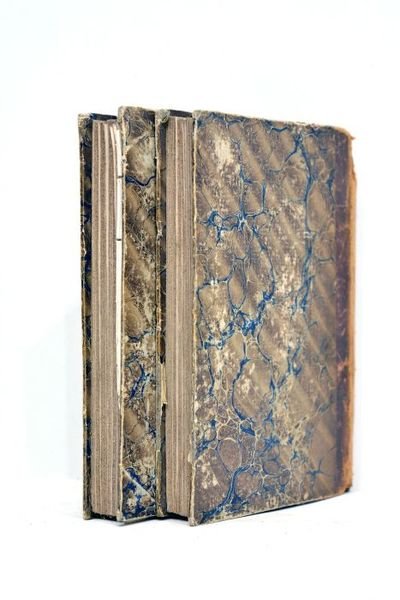 Les jeunes voyageurs en France, ou Lettres sur les départements; …