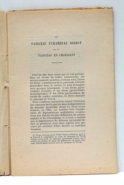 FAISCEAU PYRAMIDAL DIRECT (Le) et le Faisceau en Croissant.