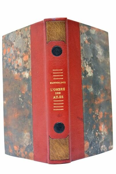 L'Ombre des Ailes.